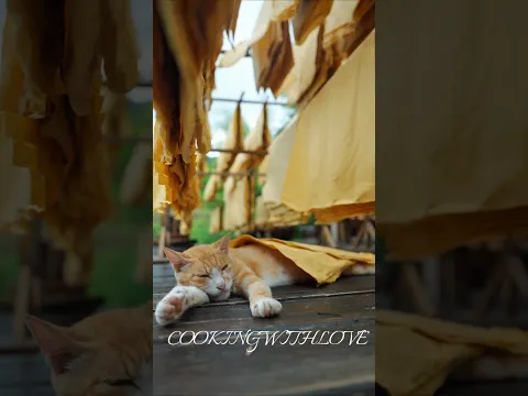 How Bamboo Is Turned Into Golden Paper! π π