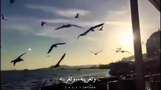 غريبة الدنيا ستوري راح ياخذك لعالم ثاني كريم منصور 