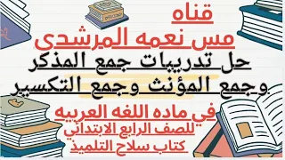 حل على الجمع المذكر السالم و المؤنث السالم و جمع التكسير رابعه ابتدائى ترم اول من كتاب سلاح التلميذ 