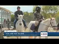 Equine therapy is changing lives