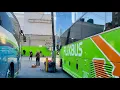 FlixBus Experience New York to Boston