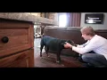 Meanwhile Back at Mama's (4k)