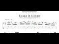 Estudio In G Minor_Barrios, Agustin Mangore (1885-1944) (classical bass tab)