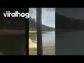 Georgia Pollen Update ViralHog
