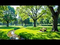 Download Lagu Genezende muziek voor hart en bloedvaten 🌿 Kalmeert het zenuwstelsel en behaagt de ziel