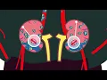 How doctors diagnose and treat C3G and IC-MPGN Rare Disease American Kidney Fund