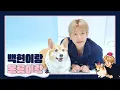 🎄🐶백현이랑 몽룡이랑🐶🎄｜백현 (BAEKHYUN)