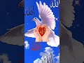Download Lagu huwa ahmadun wa muhammad Islamic viral shor video #isalamic#viral#short#video