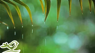 Download You \u0026 Me: Relaxing Piano Music with Rain Sounds by Peder B. Helland MP3