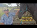 ROPE HALTERS What to look for in your next