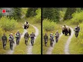 One of The WORST Grizzly Bear Attacks in Hunting History