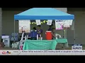 11-year-old launches Longview lemonade fundraiser for women s center