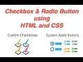 Stylish Checkbox and Radio Button Using HTML and Css