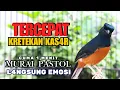 Download Lagu Murai Fighter KETREKAN BRINGAS MERANGSANG EMOSI - Efektif buat Mancing MURAI MACET !! AUTO RESPON
