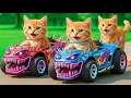 Lagu Kittens Drive Monster Beast Cars 🚓 on a Revenge Mission to Rescue Mama Cat from a Bully💥🐱