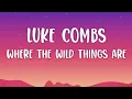 Luke Combs - Where The Wild Things Are (Lyrics)