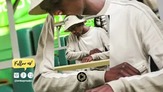 mdu aka trp montgomery ft nkulee 501 
