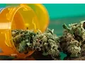 Connecticut Medical Marijuana Dispensaries 3 Things to Know