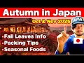 Download Lagu Japan Herfstreizen 2025 🍁 Herfstkleurenvoorspelling, Must-See Spots, Seizoensgebonden Eten \u0026 Paktips