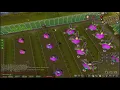 OSRS Tithe Farm 25 Seed 7 Patches