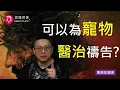 Download Lagu 可以為寵物醫治禱告嗎？｜Zoom Q\u0026A｜聖經知識庫｜洪鉅晰牧師｜恩寵教會