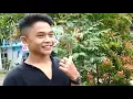 Download Lagu KESENIAN SUKU BADUI