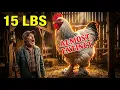 9 MONSTER Chickens That Lay EVERY DAY and Weigh 15 LBS Almost EXTINCT