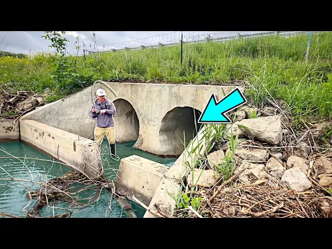 Download MP3 I Found A ROADSIDE TUNNEL Full Of AGGRESSIVE FISH!!! (Unbelievable)