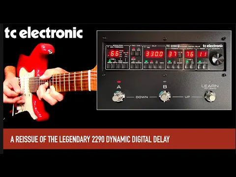 TC Electronic 2290 P Digital Delay | Delicious Audio