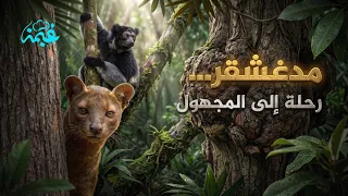 أسرار جزيرة مدغشقر المذهلة   لغز ال     مليون عام من العزلة دندنها