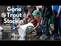 Gone Trout Stockin with masswildlife