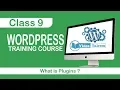 WordPress Training Course - Class 9