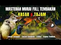 Lagu Masteran FULL Tembakan KASAR dan Tajam Kapas Tembak, Cililin, Cucak Jenggot, Cucak Cungkok