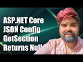 ASP NET Core JSON Configuration GetSection Returns Null Troubleshooting Tips