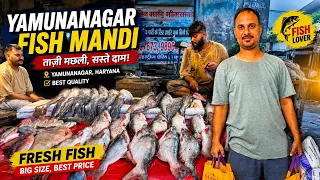 Biggest Sea Fish Market in Yamunanagar Yamunanagar Fish Mandi Street Food Fresh Fish