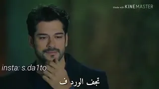 سني كرديم زمان انزلو اشتركو بي قنتي الجديده بل وصف دندنها