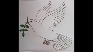تعليم رسم حمامة السلام بقلم الرصاص بطريقة بسيطة للمبتدئين 