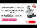 Freightliner Cascadia RPM Surging At Idle Fuel Meter Quantity Control Valve
