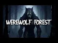 Download Lagu WEREWOLF AMBIENCE | 3 HOURS OF SPINE CHILLING AMBIENCE | FOR D\u0026D, STORYTELLING, WORK, STUDY