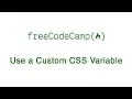 Basic CSS - Use a custom CSS Variable