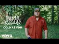 Lagu Luke Combs - Cold As You (Audio)