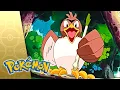 A Farfetch d Tale POKEMON FULL EPISODE 29 Season 3