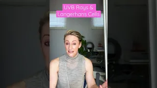 UVB Rays Langerhans Cells Healthyskin Skin Protection Langerhanscells 