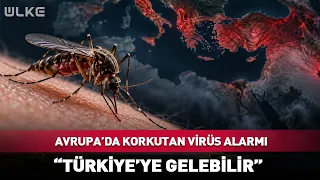 Avrupa'da Korkutan Virüs Alarmı! Türkiye'de de Görülebilir