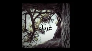 أنشودة غرباء للشيخ سعد الغامدي رائعة جدا 