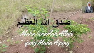 Download Murottal Surah Ad Dhuha MP3