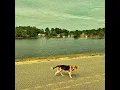 The Bay