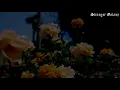 Far Caspian - A Dream of You (sub español)