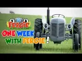 Download Lagu A Week with Fergie ! (Monday to Sunday) - Film | Little Grey Fergie | Gråtass