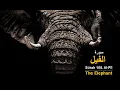 Download Lagu Surah 105 - Al Fil 100 Times    Mishary bin Rashid Al Afasy   with Translation and Transliteration